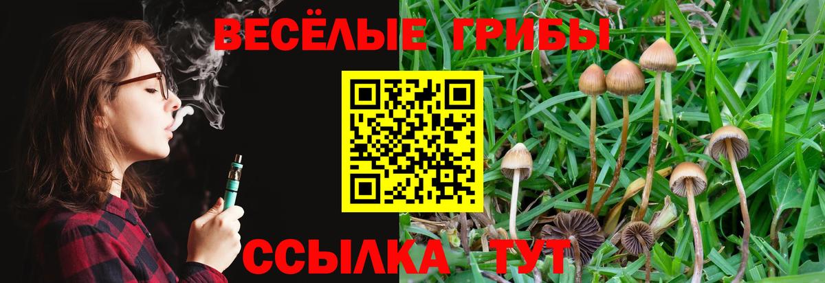 Псилоцибиновые грибы Psilocybine cubensis  Вход с VPN  Старая Купавна 